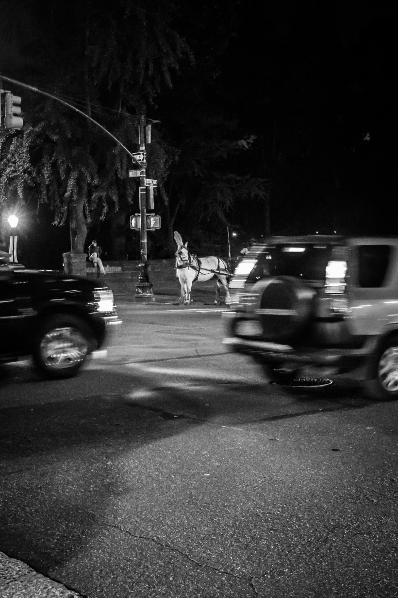 nyc_trip_edited_personal-14