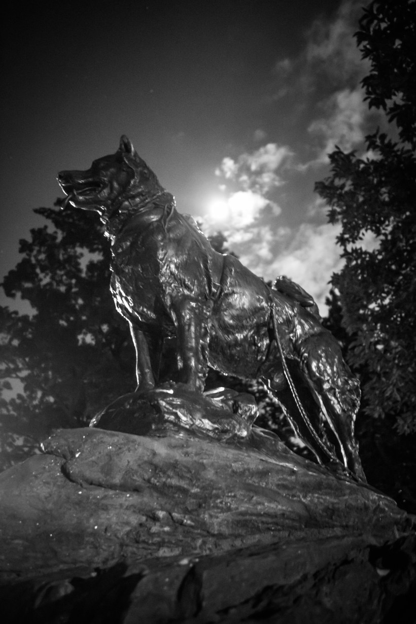 nyc_trip_edited_personal-15